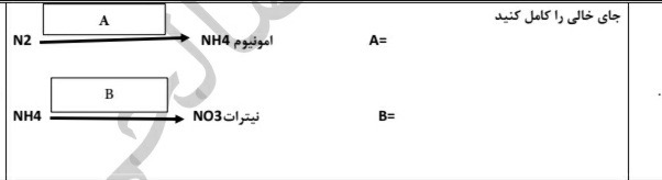 دریافت سوال 8