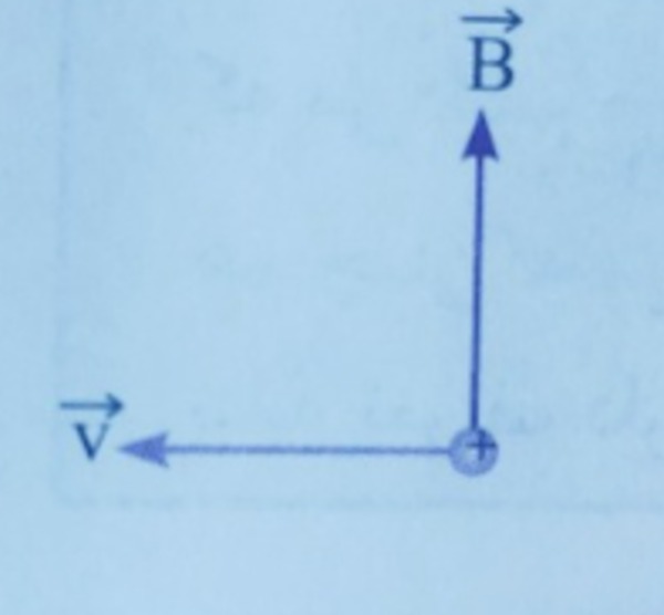 دریافت سوال 14