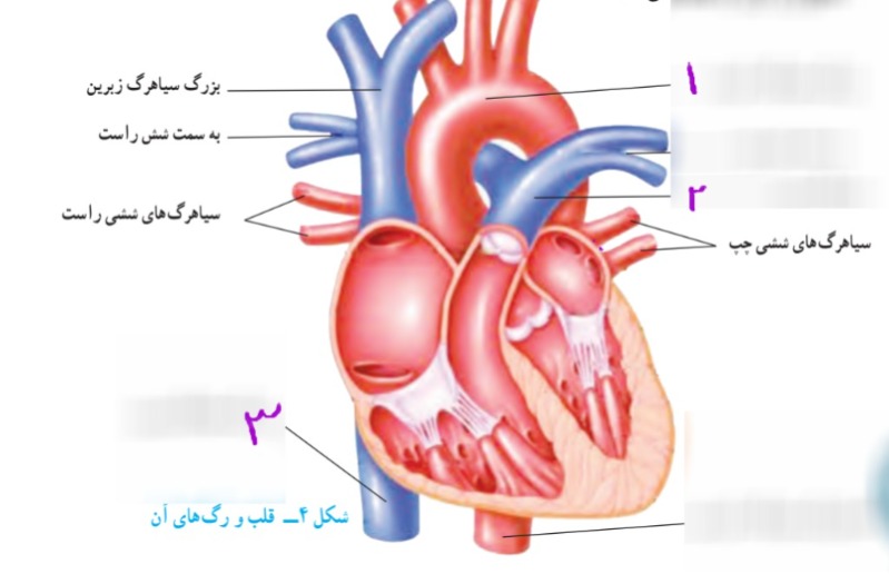 دریافت سوال 16