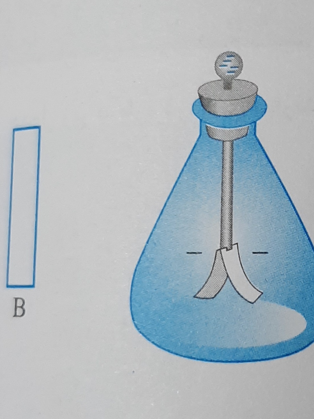 دریافت سوال 12