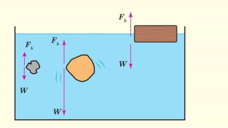 دریافت سوال 5