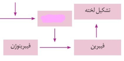 دریافت سوال 12