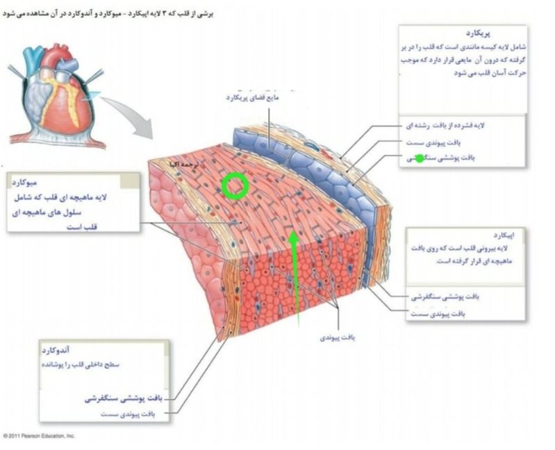 دریافت سوال 58