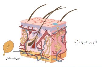 دریافت سوال 18