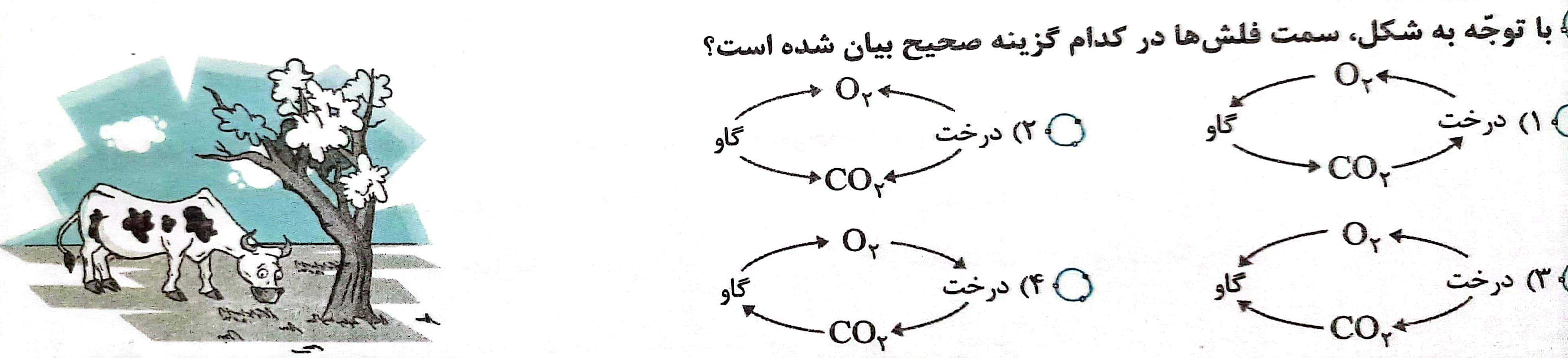 دریافت سوال 19