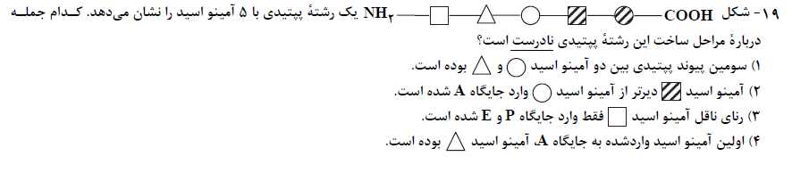 دریافت سوال 19