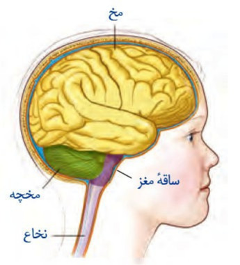 دریافت سوال 14