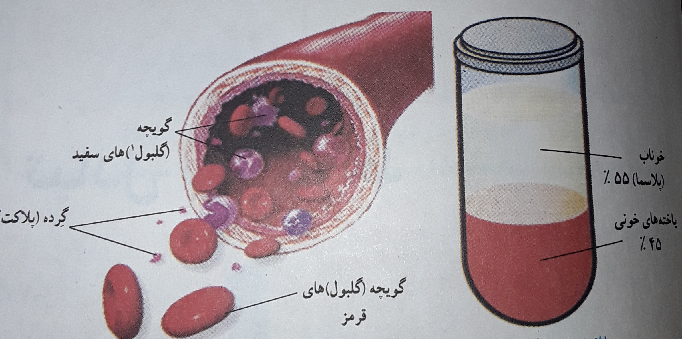 دریافت سوال 38