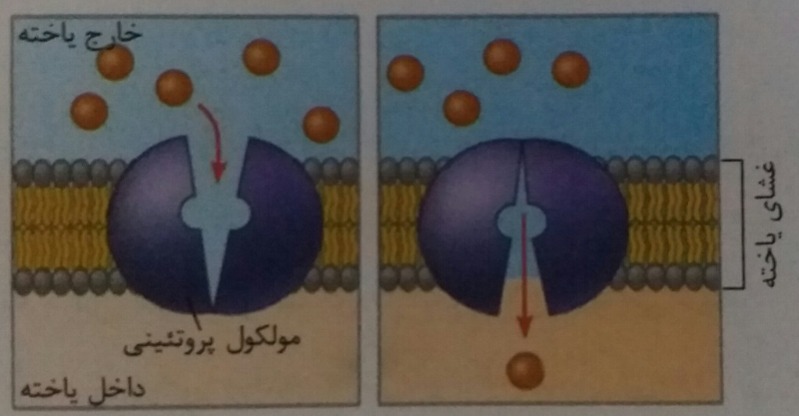 دریافت سوال 20