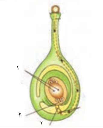 دریافت سوال 4