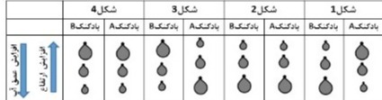 دریافت سوال 8