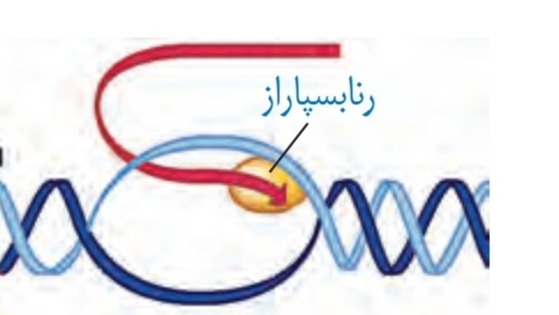 دریافت سوال 39