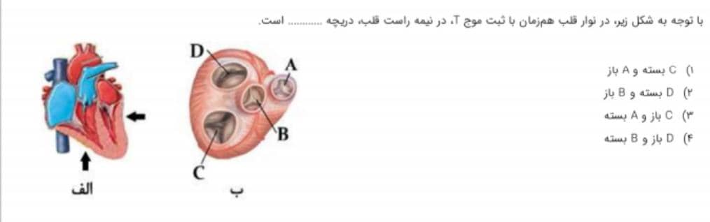 دریافت سوال 5