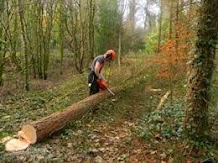 دریافت سوال 14