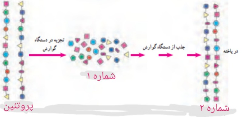 دریافت سوال 22