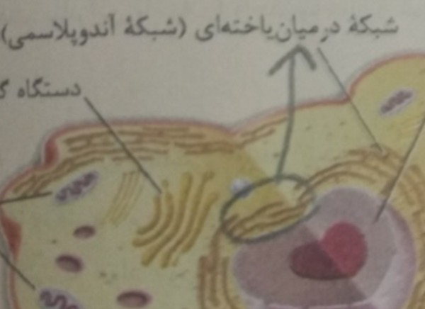 دریافت سوال 9