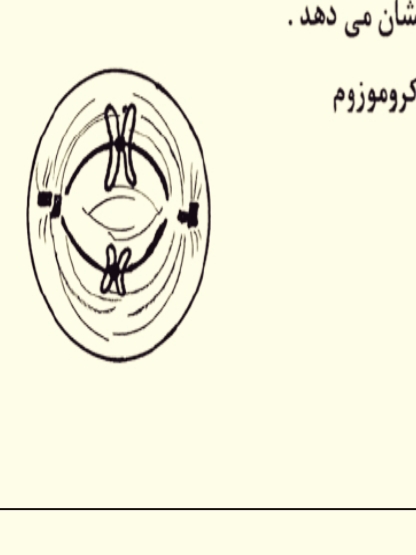 دریافت سوال 11