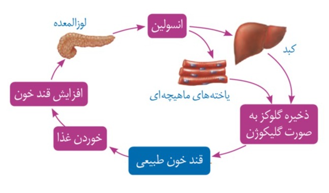 دریافت سوال 15