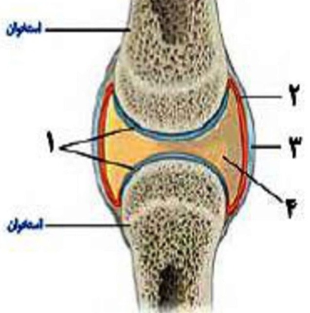 دریافت سوال 14