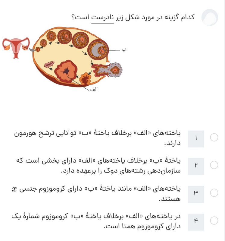 دریافت سوال 37