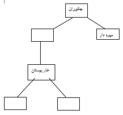 دریافت سوال 17