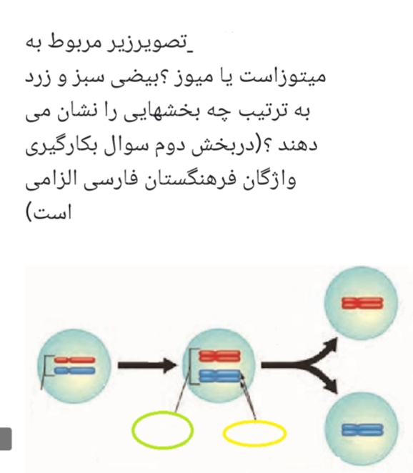 دریافت سوال 5