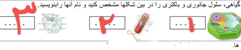 دریافت سوال 15