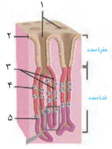 دریافت سوال 2