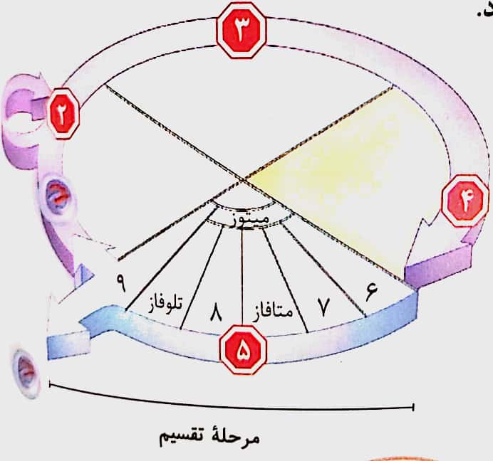 دریافت سوال 5