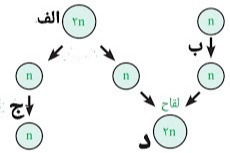 دریافت سوال 10