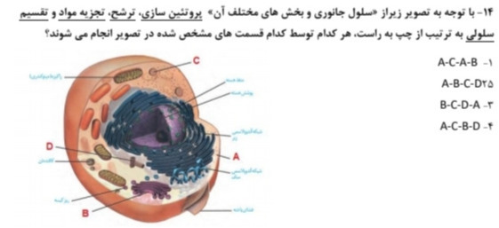 دریافت سوال 20