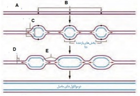 دریافت سوال 11