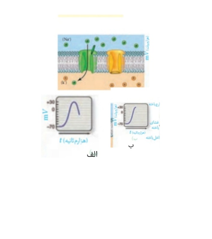 دریافت سوال 3