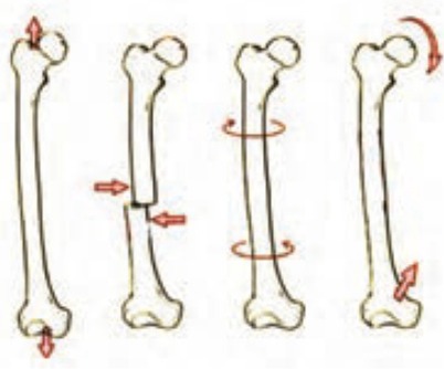 دریافت سوال 13