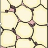 دریافت سوال 20