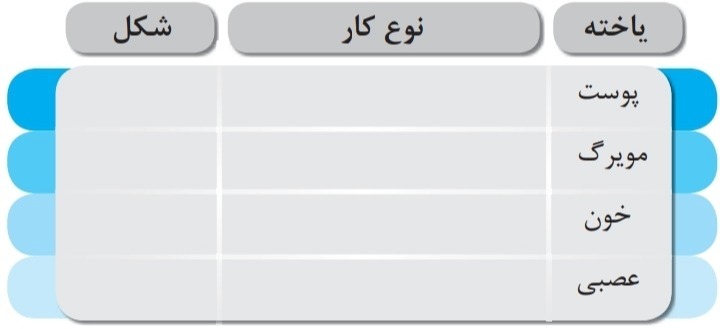 دریافت سوال 21