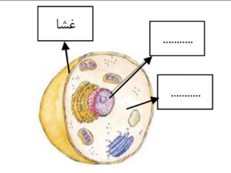 دریافت سوال 28