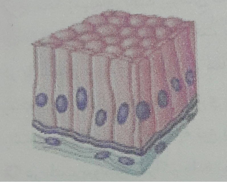 دریافت سوال 20