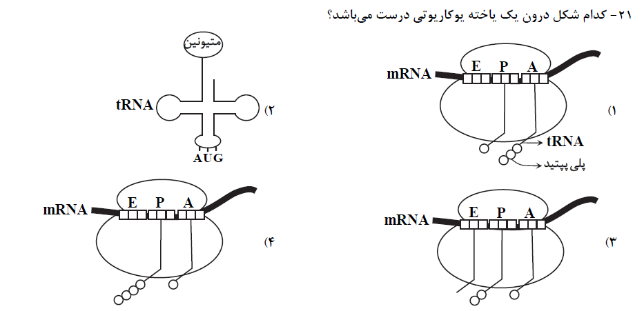 دریافت سوال 21