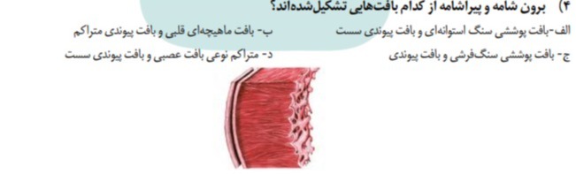 دریافت سوال 4