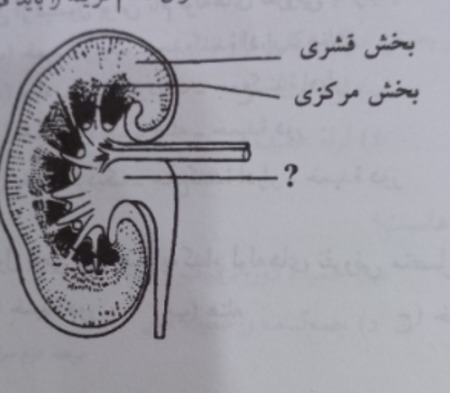 دریافت سوال 1