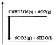 دریافت سوال 67