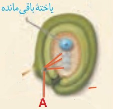 دریافت سوال 14