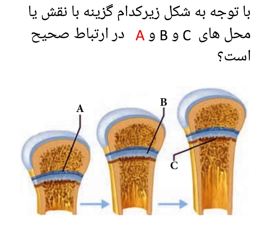 دریافت سوال 15