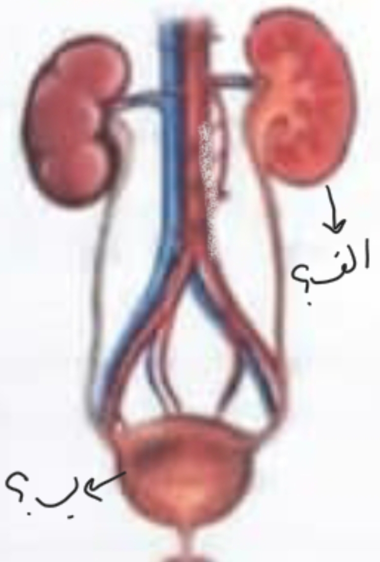 دریافت سوال 1