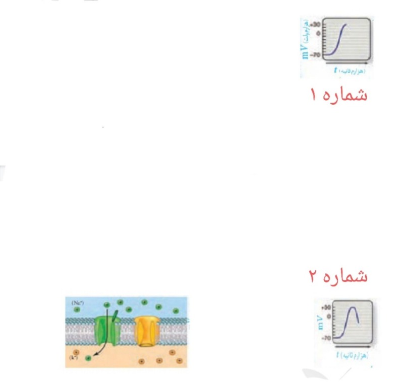 دریافت سوال 3