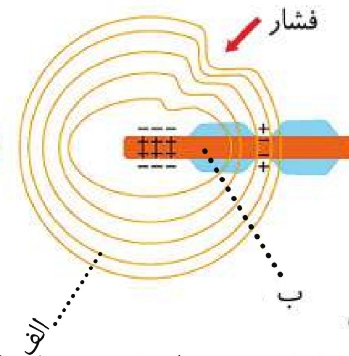 دریافت سوال 19