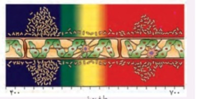 دریافت سوال 7