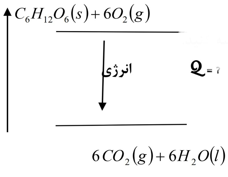 دریافت سوال 5