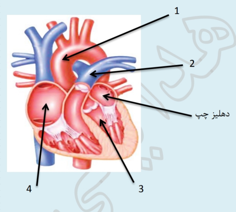 دریافت سوال 25